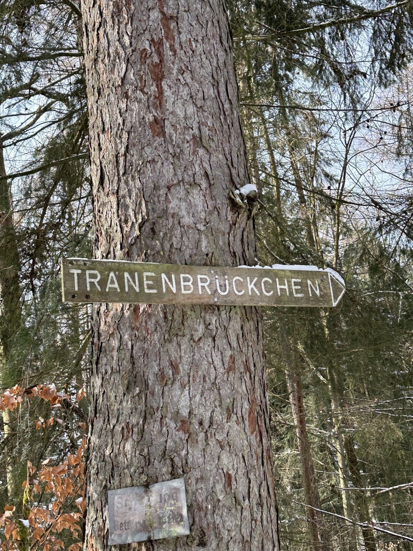 Originalfoto: Wegweiser Tränenbrückchen an der Wegscheide