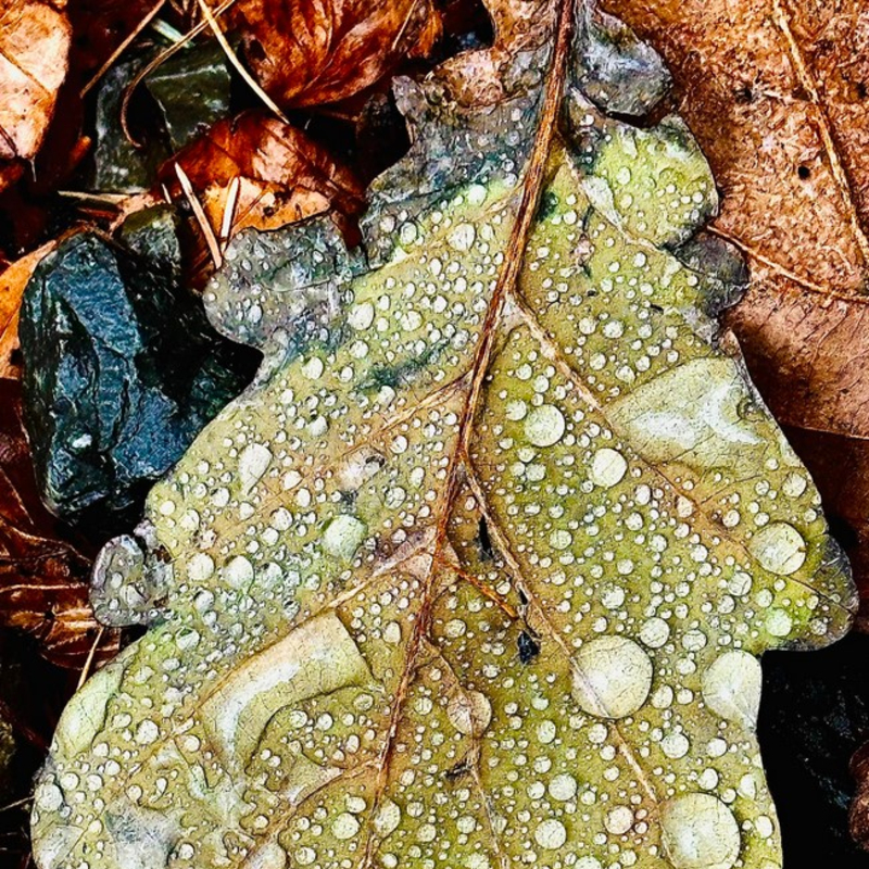 Kaleidoskop der Gefühlsfarben