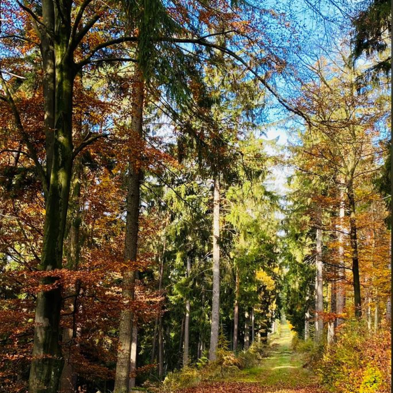 Zauberhaft