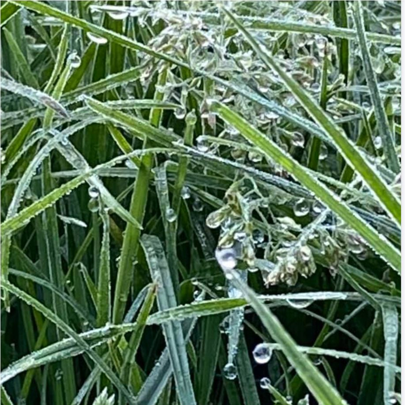 Führt uns die Natur?