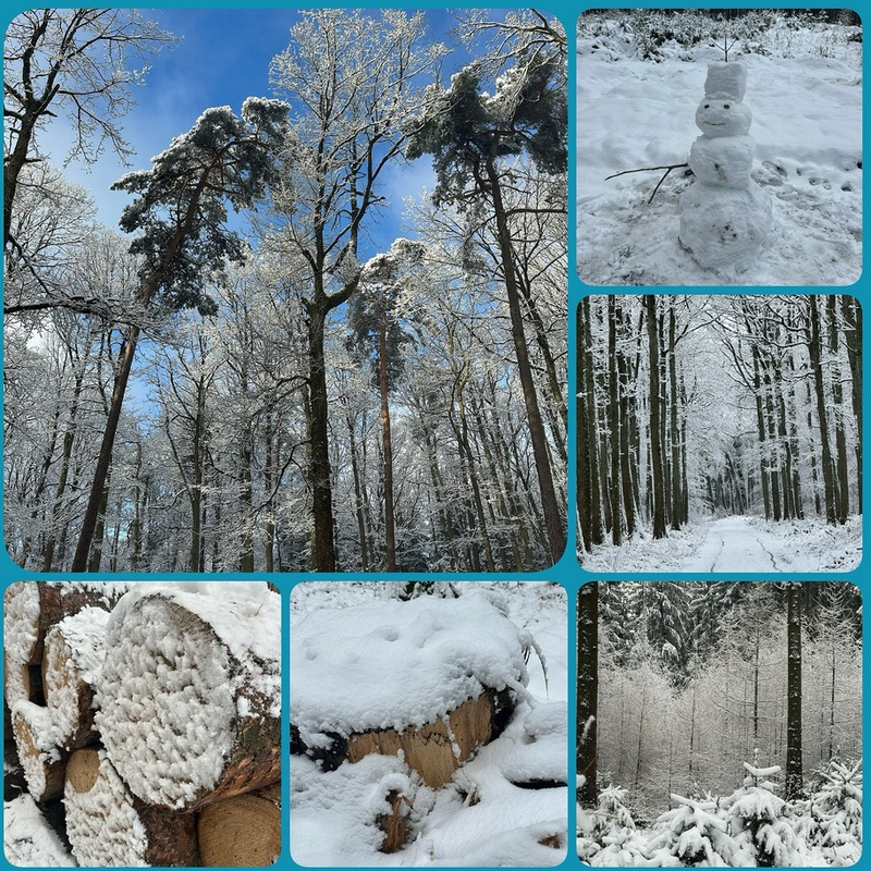 Winterzauberwald