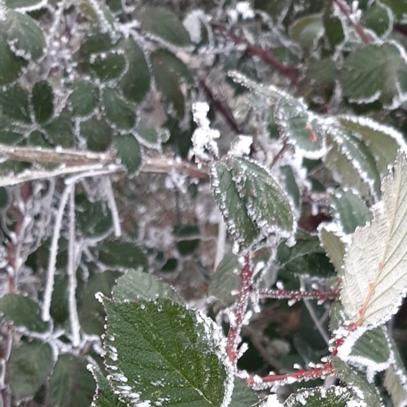 Tiefes Einatmen