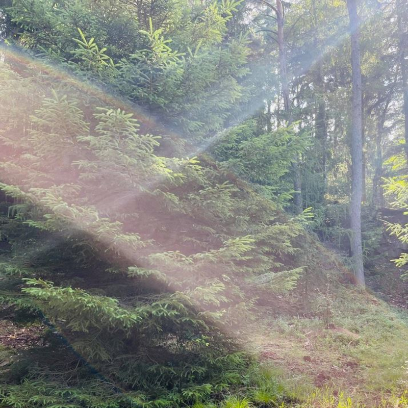 Lichtverhältnisse und Beleuchtung