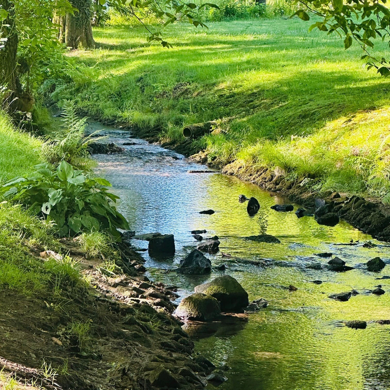 Wohl wollen und wohl fühlen