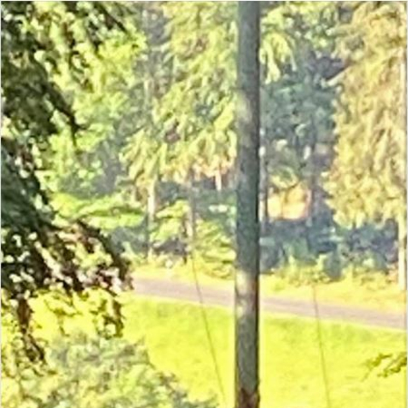 Raum nehmen und Raum geben