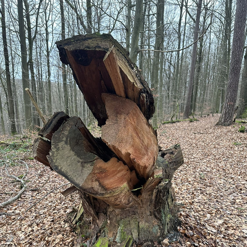 Liken oder abhaken (ohne Häkchen!)