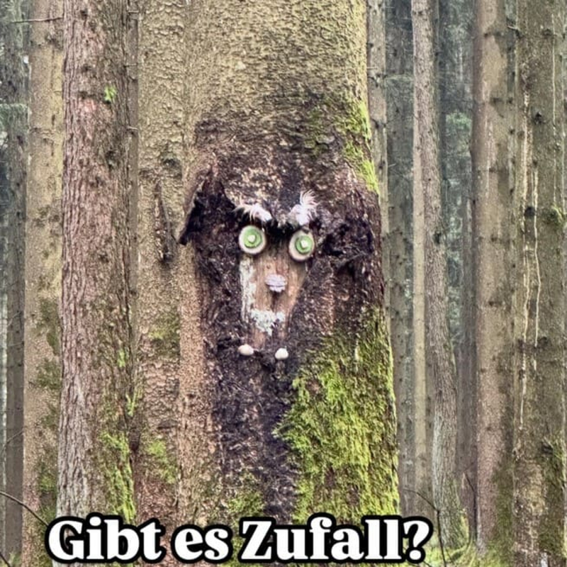 Gibt es Zufall?