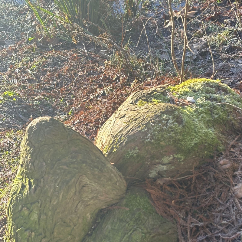 Finten und Fallen