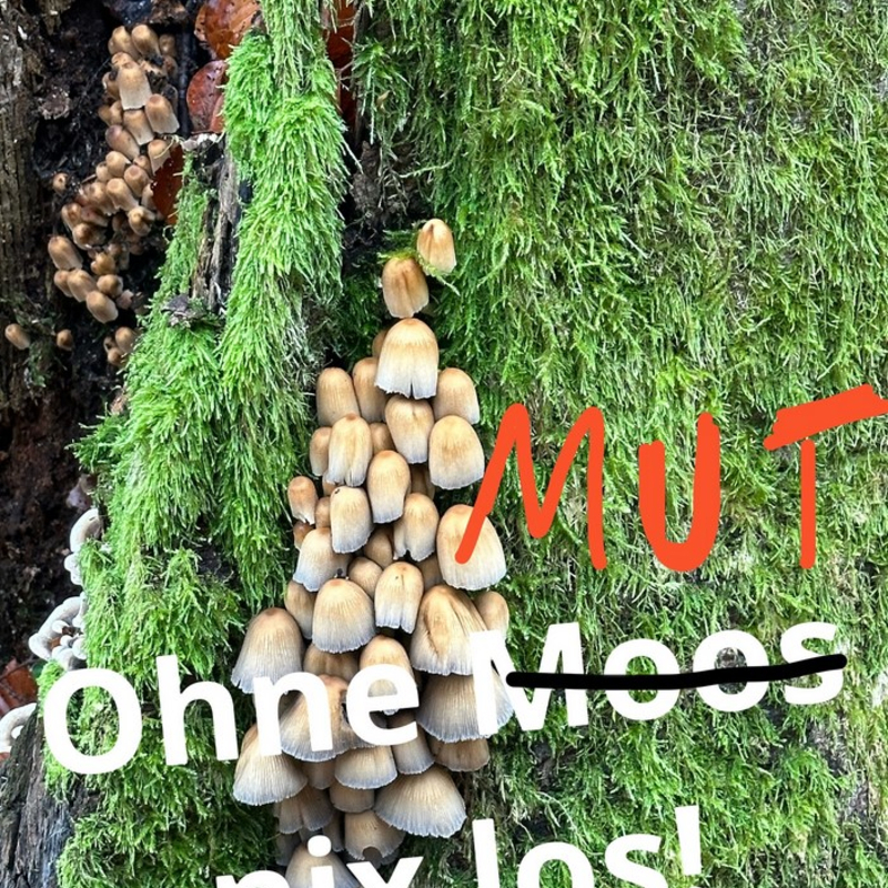 Sind wir nicht alle Glücksritter