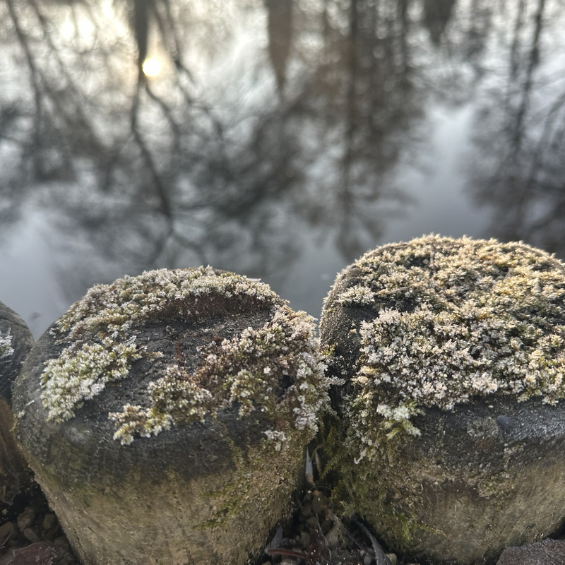 Du darfst alles sein, was du willst