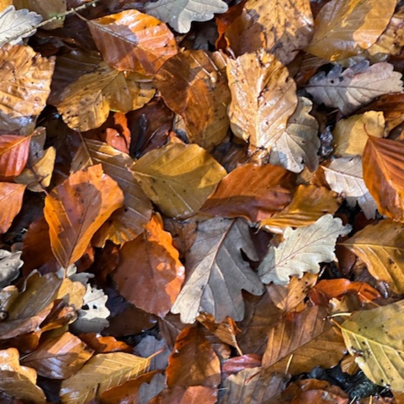 Herbst-Graffiti oder -Chiffren