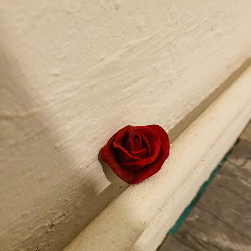 Im Namen der Rose