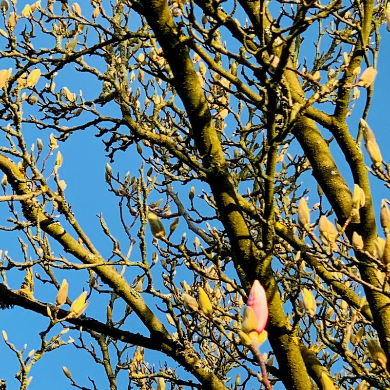 Frühling startet unbeeindruckt
