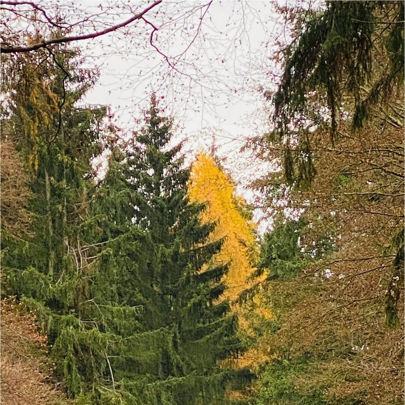 Ja, du machst alles gut!