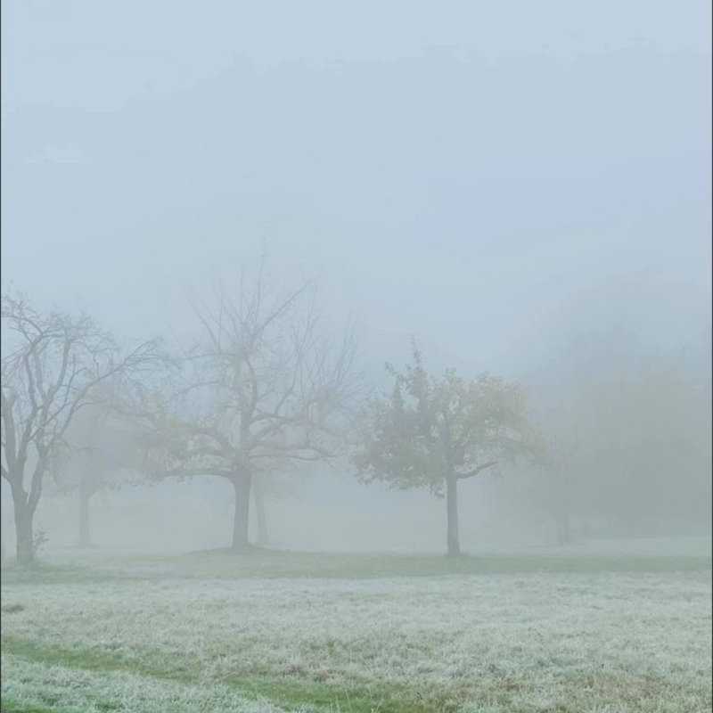 Silber oder grau