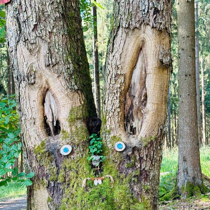 Der Baumhase spricht zu mir
