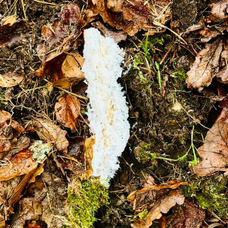 Entscheidungsfindung