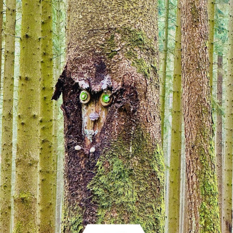 LYRIK IM WALD mit Manuela