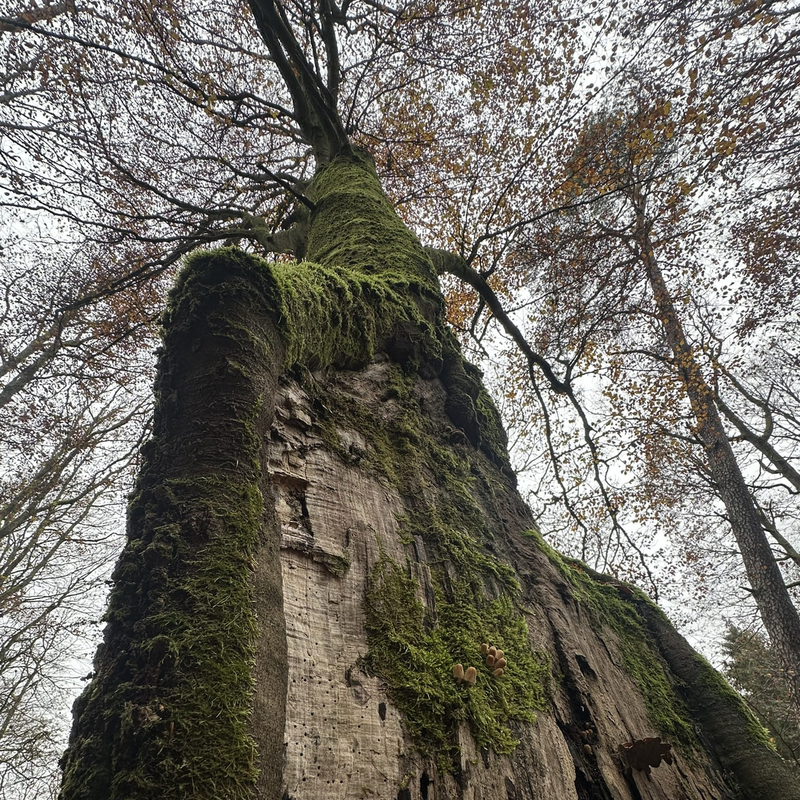 Gespräche am Ende des Weges