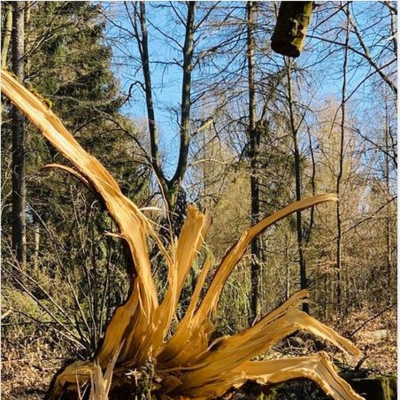 Ruhe bewahren
