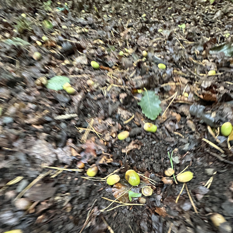 Wann werden wir gesehen?