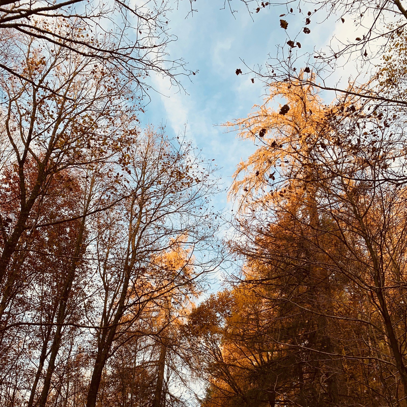 Schöner Herbstmorgen