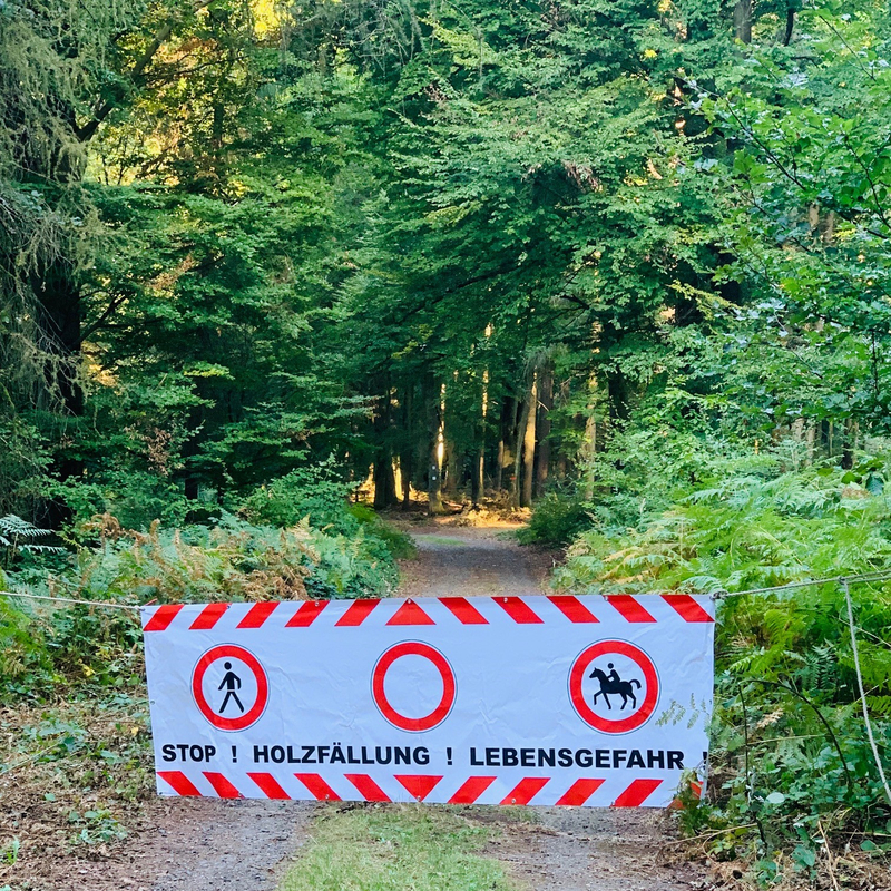 Wann ist Zeit zur Umkehr?