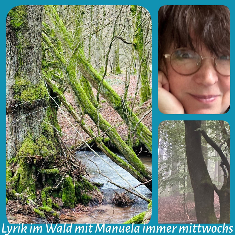 Lebens-Glück-Moment im Wald