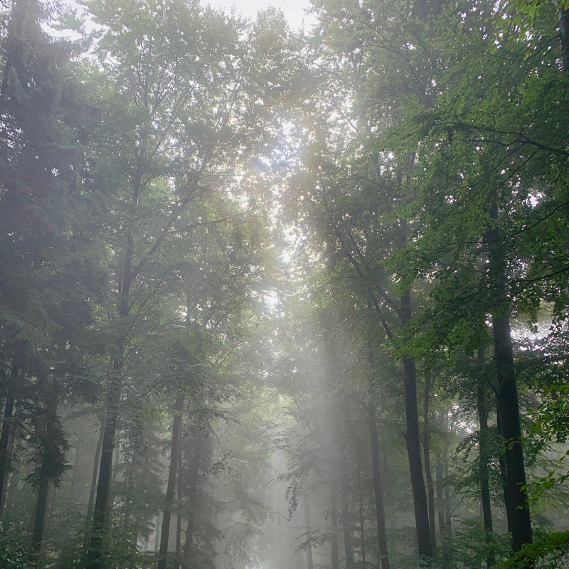 Der Weg ist das Ziel