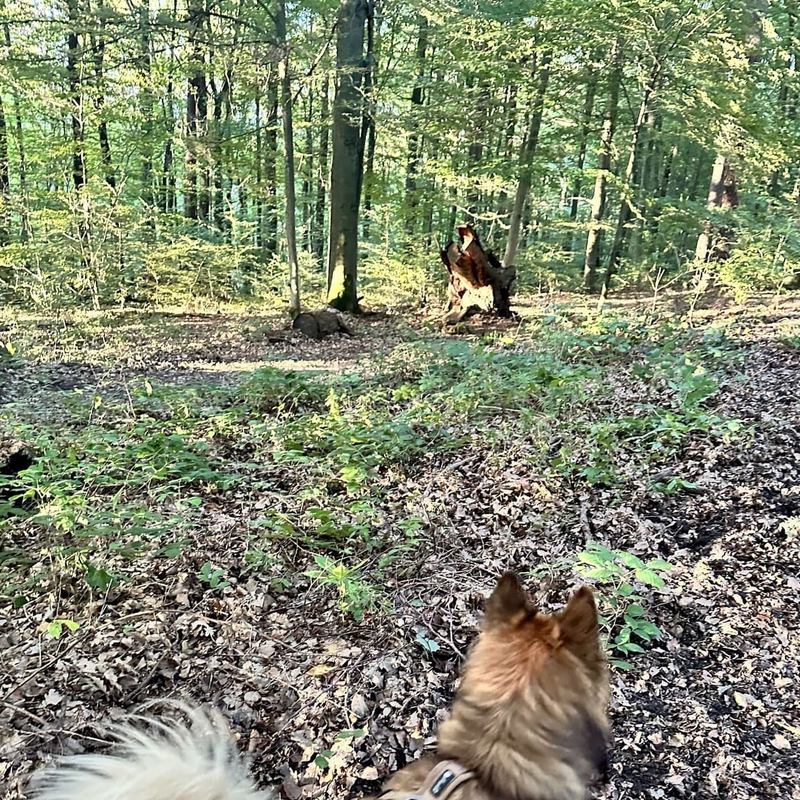 Gefühlte Veränderung