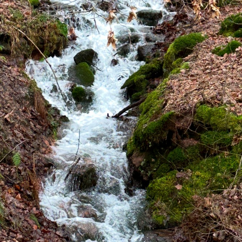 Lebensfluss