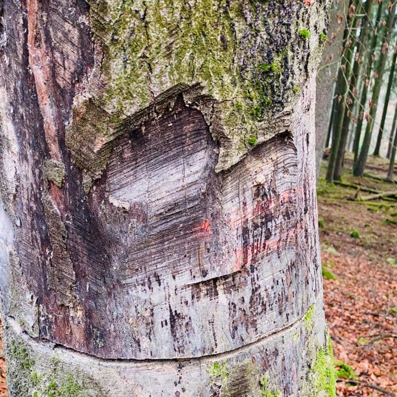 Schmerzliche Veränderung