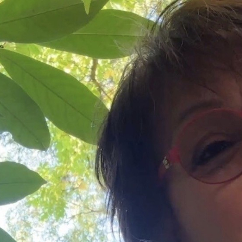 „Lieber Baum, berühre mich.“